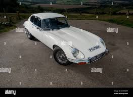Image result for Old English White 1971 Jaguar