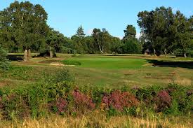 Image result for Walton Heath Golf Club