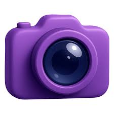 Image result for purple camera