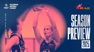 Image result for Blaze Netball Club