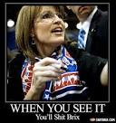 Sarah-palin-99843 close