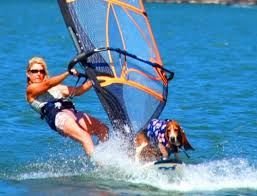 Image result for Ocean Motion Windsurfing Club (Omwc)