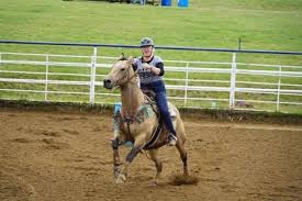 Image result for Lakes Riding Club