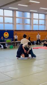 Image result for Basingstoke Aikido Club