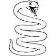 Snake coloring page