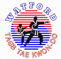 Image result for Bytomic Tae Kwon Do Watford