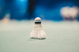 Image result for Bjf Badminton Club