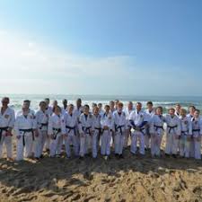 Image result for Hidden Dragon Karate-Do