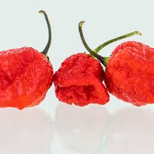 Afbeeldingsresultaat voor 7 pot hot pepper