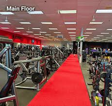 Image result for MACSFIT bootcamps ltd