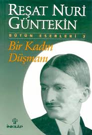 Bir Kadın Düşmanı Kitabının Özeti