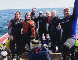 Image result for Great Western Divers
