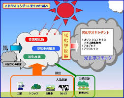 Image result for 光化学SMOG