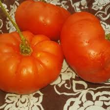 Afbeeldingsresultaat voor debarro black tomato