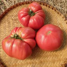 Afbeeldingsresultaat voor prudence purple tomato