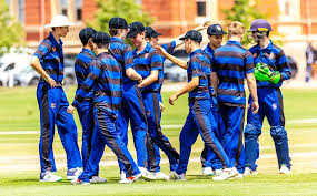 Image result for Dulwich Cricket Club