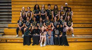 Image result for Halwill Badminton Club