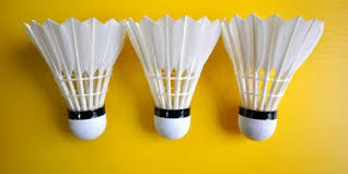 Image result for York Railway Institute Badminton Club