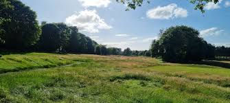 Image result for Caird Park Golf Club
