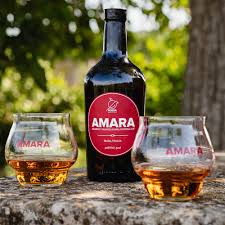 Attēlu rezultāti vaicājumam “Amara sp.”