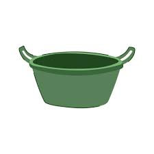 Image result for bacía