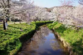 Image result for 水野X68仁義