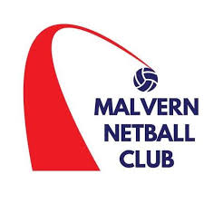 Image result for Wyvern Ladies Netball Club