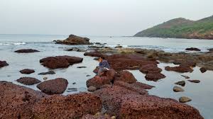 Image result for goa beaches