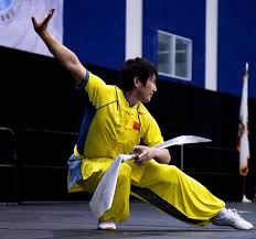 Image result for kung fu