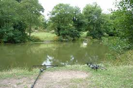 Image result for Bathampton Angling Association