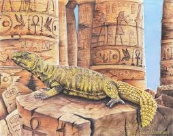 Image result for Reptilian egypt