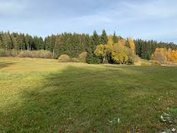 Image result for Wettertannenwiese