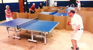 Image result for Pavilion Table Tennis Club