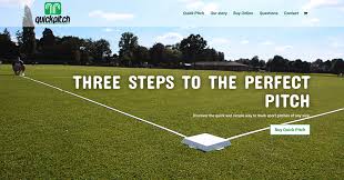 Image result for Pitch marking blog