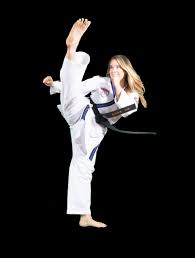 Image result for Bytomic Tae Kwon Do Princes Risborough