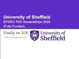 Image result for University of Sheffield Ultimate- Phat 'eds