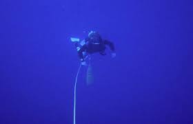 Image result for Blue Water Diving