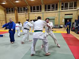 Image result for Southend Judo Club