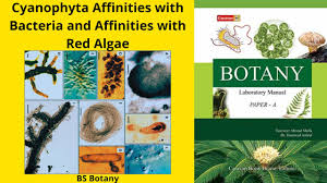 Attēlu rezultāti vaicājumam “Cyanophyta”