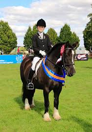 Image result for Lakes Riding Club