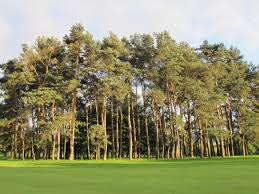 Image result for Kedleston Park Golf Club Ltd