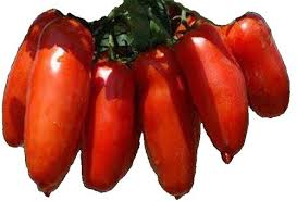 Afbeeldingsresultaat voor butter and bull heart tomato