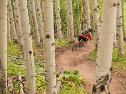Image result for Bogtrotters Mountain Bike Club