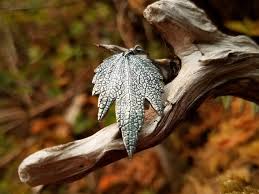 Attēlu rezultāti vaicājumam “Leonurus cardiaca leaf”