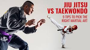 Image result for COMBAT TAEKWONDO