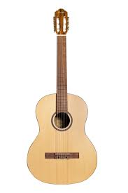 Image result for guitar
