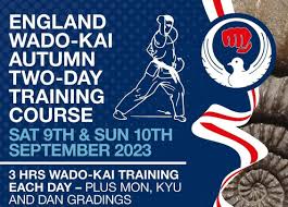 Image result for Thatcham Wado Karate Club