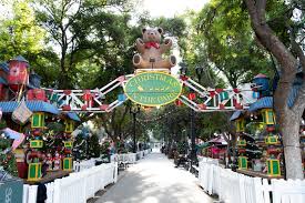 Image result for Deva Handball Club