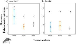 Attēlu rezultāti vaicājumam “Sylvia curruca adult”