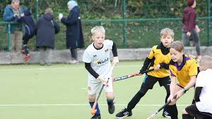 Image result for Carlisle Hockey Club